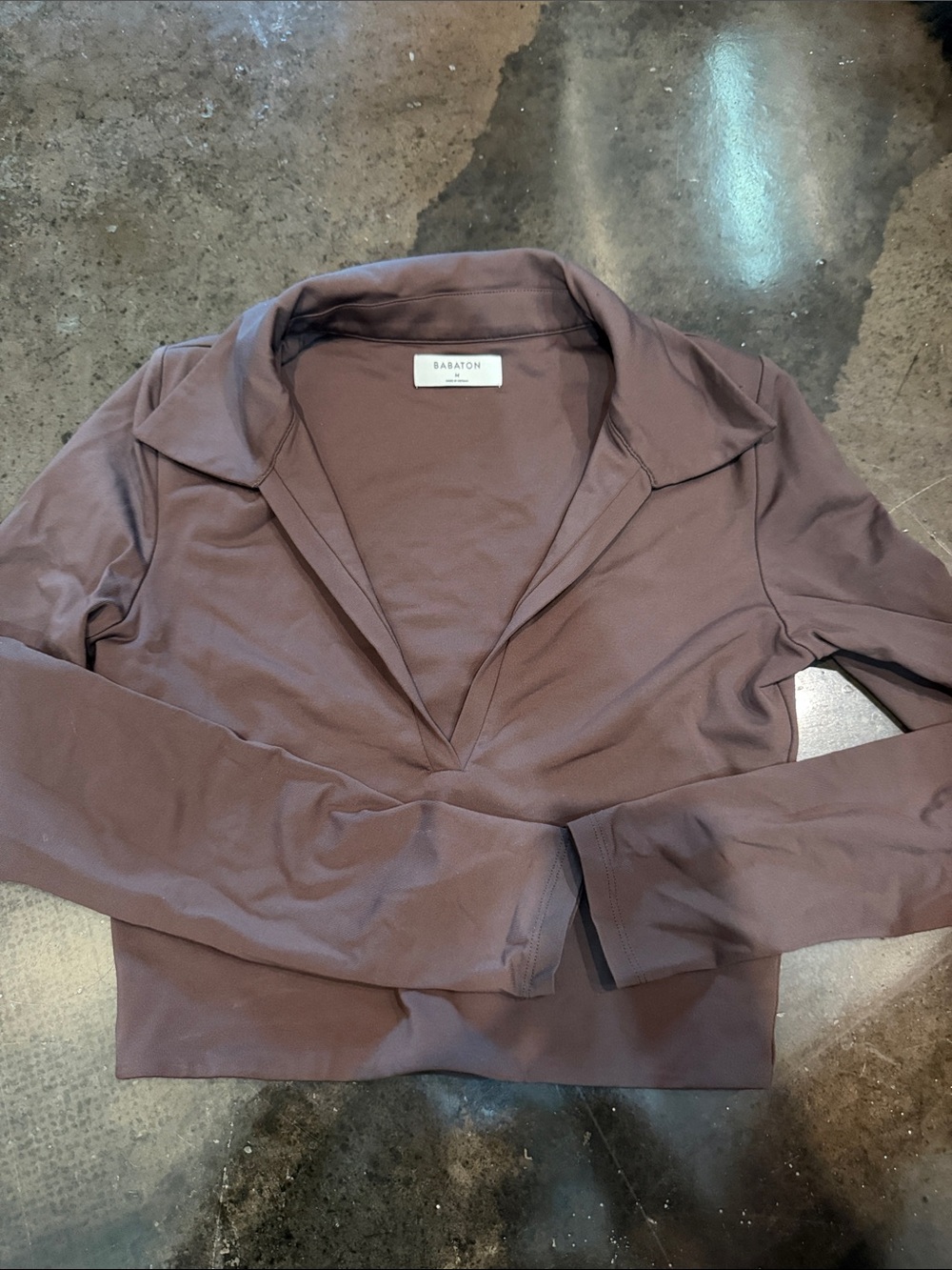 aritzia Babaton Long Sleeve Crop Top